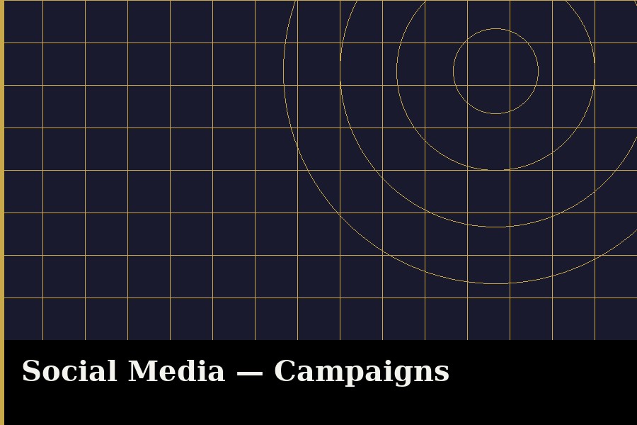 Social Media Campaigns